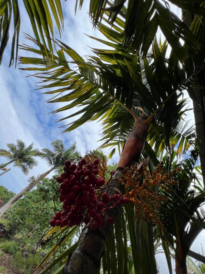 Hawaii Get Away. Villa Holualoa Exterior foto
